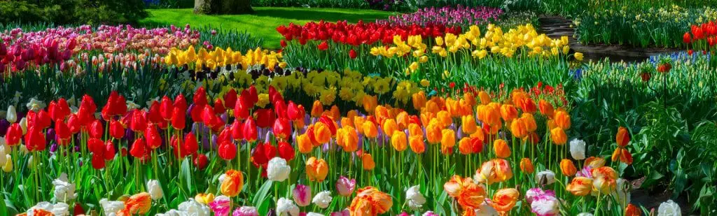 Flexon Industries | Lawn & Garden Hose