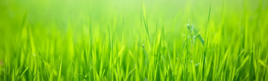 Flexon Industries | Lawn & Garden Hose