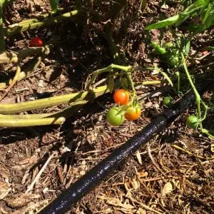 Garden Soaker Hose Kit