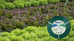 Gardener watering a border with a 3 Tube Sprinkler Hose set for even coverage